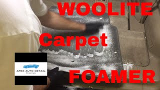 WOOLITE Foam Carpet Cleaner Is it a must Or a BUST [upl. by Tterrej]