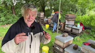 Live von Pias Bienenstand 29821 [upl. by Ailatan979]