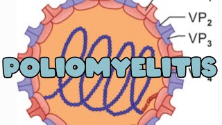 Poliomyelitis I pathogenesis  Lab diagnosis  vaccine [upl. by Jenness364]