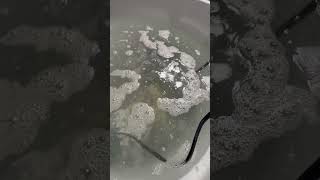 Muriatic Acid Bath Surface cleaning dry rock 2nd bath [upl. by Otrebmuh]