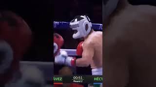 Héctor Macho Camacho juniorvs julio César Chávezn [upl. by Doak]