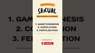 Sexual Reproduction in Animals  Gametogenesis Copulation and Fertilization neet ytshorts [upl. by Arutnev614]