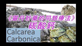 《靈丹妙藥的同類療法》 EP45  碳酸鈣 Calcarea Carbonica [upl. by Jonathon349]