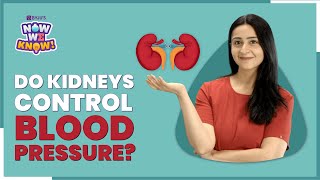 How Do Kidneys Maintain amp Regulate Blood Pressure In Human Body  BYJUS Now We Know [upl. by Sioux]