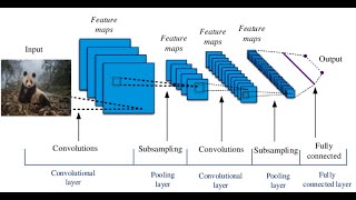 Convolutional Neural Networks شرح بالعربي الشبكات العصبية التلافيفية [upl. by Eupheemia232]