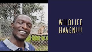 The Perfect Day in Nairobi National Park With Friends [upl. by Gardner]