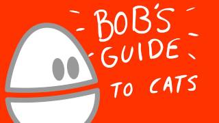 Bobs Guide To Cat Owning [upl. by Machos325]