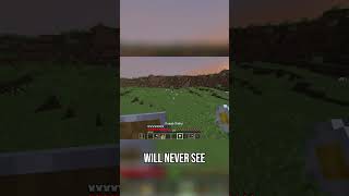 A Heartfelt Farewell Honoring Fallen Allays in Minecraft minecraft allay minecraftallay sad [upl. by Elhsa]