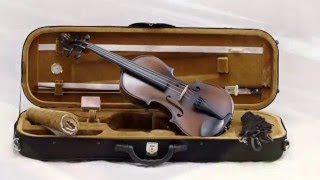 Bunnel Pupil Violin from Kennedy Violins [upl. by Nylrehc]