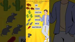 Irregular plurals learn english cartoon shorts [upl. by Ibrad]