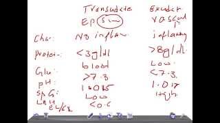 QUICK PATHOLOGY Transudate Vs Exudate pleural effusion [upl. by Viola]