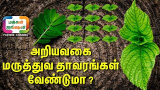 அரியவகை மருத்துவ தாவரங்கள் வேண்டுமா Herb HelpFree Medicinal Plants Classமூலிகை செடிகள் Trending [upl. by Leno]