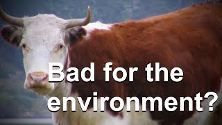 Do Cow Farts Really Significantly Contribute to Global Warming [upl. by Esilram]