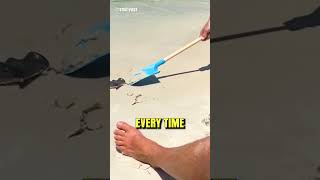 Mans Stingray Rescue Attempt Fails [upl. by Zailer442]