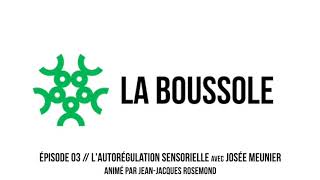 Épisode 03L’autorégulation sensorielle pour faciliter la résilience face au confinement [upl. by Htrag]