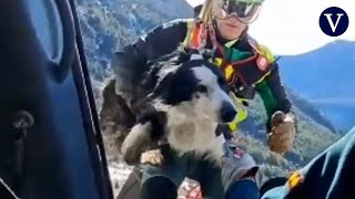 La Guardia Civil rescata con un helicóptero a un perro que estaba en una ladera del Pirineo aragonés [upl. by Belshin]