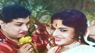 Anandha Jodhi Movie Colour  TMSoundararajanPSusheela  MGR Movie Song  Re Master  Bravo Music [upl. by Steffin757]