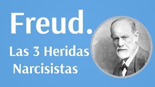 Freud Las 3 heridas Narcisistas [upl. by Clementina]