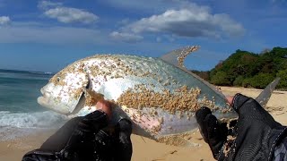 Fishing at Patar Bolinao Pangasinan day 1🎣 [upl. by Abram]