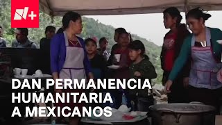 Guatemala otorga estatus de permanencia por razones humanitarias a 207 mexicanos  En Punto [upl. by Dnomyar727]