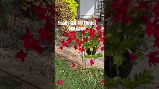 Got Our Flower Bed Timbers Donelandscaping ytshorts gardening [upl. by Mlawsky267]