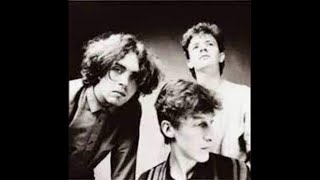 Icicle Works  Janice Long Session 24041985 [upl. by Conners]