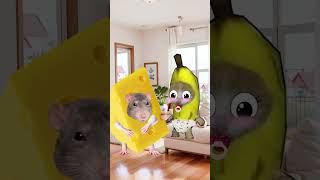 Baby Banana Cat 🍌🐱 Fights A Giant Mouse 🐭🙀 [upl. by Ermin]