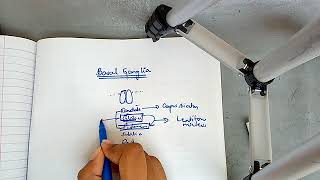 BASAL GANGLIA physiology with most important points ch 57 guyton part 1 [upl. by Scott593]