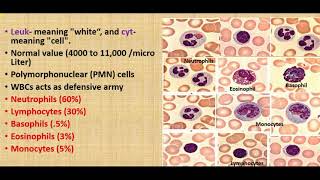 Functions of WBCs basic functions of Leukocytesclassification of WBC [upl. by Ennairek727]