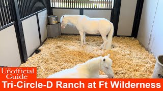 Tour of TriCircleD Ranch at Walt Disney World’s Fort Wilderness 4K [upl. by Fante]