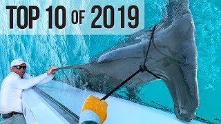 Top 10 Best Fishing Moments from 2019 [upl. by Judon278]