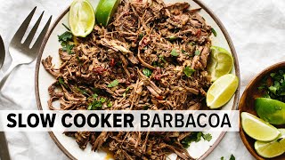 EASY BARBACOA RECIPE  perfect for tacos burritos bowls and salads [upl. by Vic]