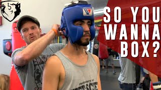 So You Wanna be a Boxer 4Week Boxing Fight Camp [upl. by Irak545]