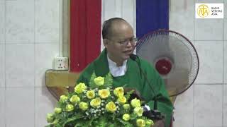 30th Week In Ordinary Time Homily by Fr Hyginus Myint Soe  29 10 2024 [upl. by Essex418]