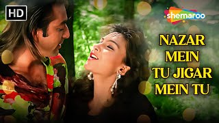 Nazar Mein Tu Jigar Mein Tu  Sanjay Dutt  Kumar Sanu Sapna Mukherjee  Andolan1995 Romantic Song [upl. by Enelec]