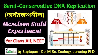 Meselson Stahl Experiment SemiConservative Mode of DNA Replication [upl. by Dyan]