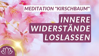 Wohltuende Meditation für mehr Vertrauen in das Leben [upl. by Cecilio]