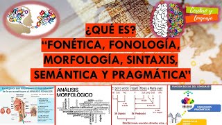 ¿Qué es Fonética Fonología Morfología Sintaxis Semántica Pragmática Temas sobre lenguaje [upl. by Ellis836]