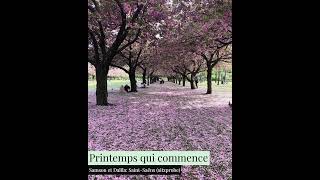 Printemps qui commence  Samson et Dalila by Camille SaintSaëns [upl. by Belanger]