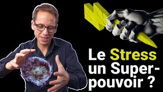 De Stressé à SuperHéros  Transforme le Stress en Superpouvoir [upl. by Anagrom]