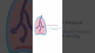 Intrapleural Pressure  Quick Explanation [upl. by Mun]