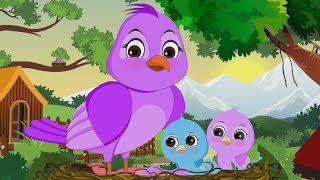 Chidiya Rani Badi Sayani  Hindi Balgeet  चिड़िया रानी  Hindi Poems For Kids  Kids Tv India [upl. by Agem]