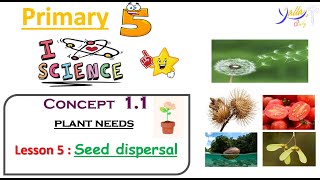 Science  Primary 5  lesson 5 concept 11 seed dispersal [upl. by Stevana]