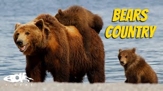 Kamchatka Bears Country  Nature Documentary [upl. by Beauregard]