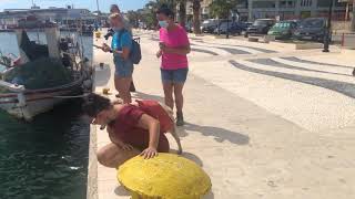 Turtle Spotting in Argostoli Kefalonia Short Clip argostolikefalonia [upl. by Luann303]