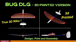 Bug DLG  Not Your Typical Balsa Lightnin Bug [upl. by Gaillard]