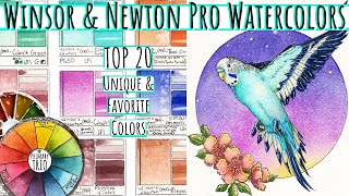 Top 20 Winsor and Newton Professional Watercolor Review 109 Dot Card  Unique amp Granulating Palette [upl. by Zevahc]