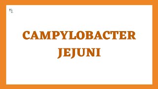 Campylobacter jejuni Campylobacteriosis Causes Symptoms Diagnosis Treatment [upl. by Bruyn]