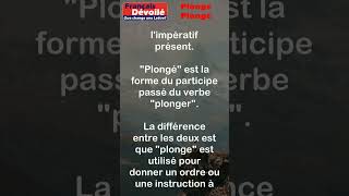 Plonge et Plongé shorts Une Lettre [upl. by Blackman386]