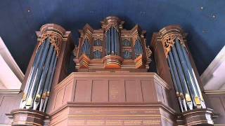 Arp Schnitger Orgel Hollern  Prof Harald Vogel stellt die Orgel vor [upl. by Bough272]